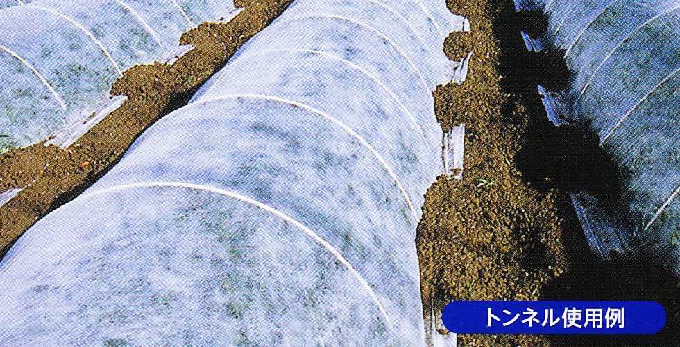 三菱ケミカルアグリドリーム 不織布 4本入 青パオパオ 210cmX200m 生育促進 前進出荷 出荷回数増加 出荷調整 - 1